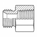 Adaptall Hose Adapter,1/2",,1/2", 9035-0808