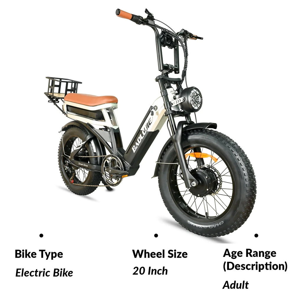 2000W Dual Motors Ebike 48V30AH(15AH+15AH Dual Battery) 35MPH Electic Bicycle 20''*4.0 Fat Tire  7 Speed Hydraulic Disc Brake 100 Miles Max Range Electric Bike Lockable Suspension black  Rear Shelf