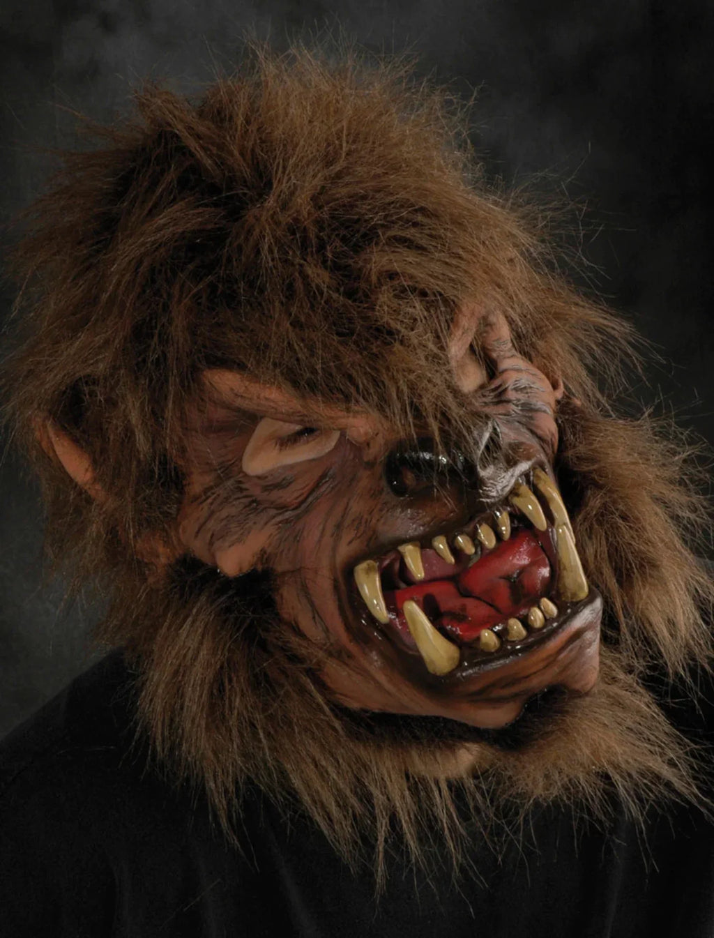 Zagone Studios  Moon Shined Mask