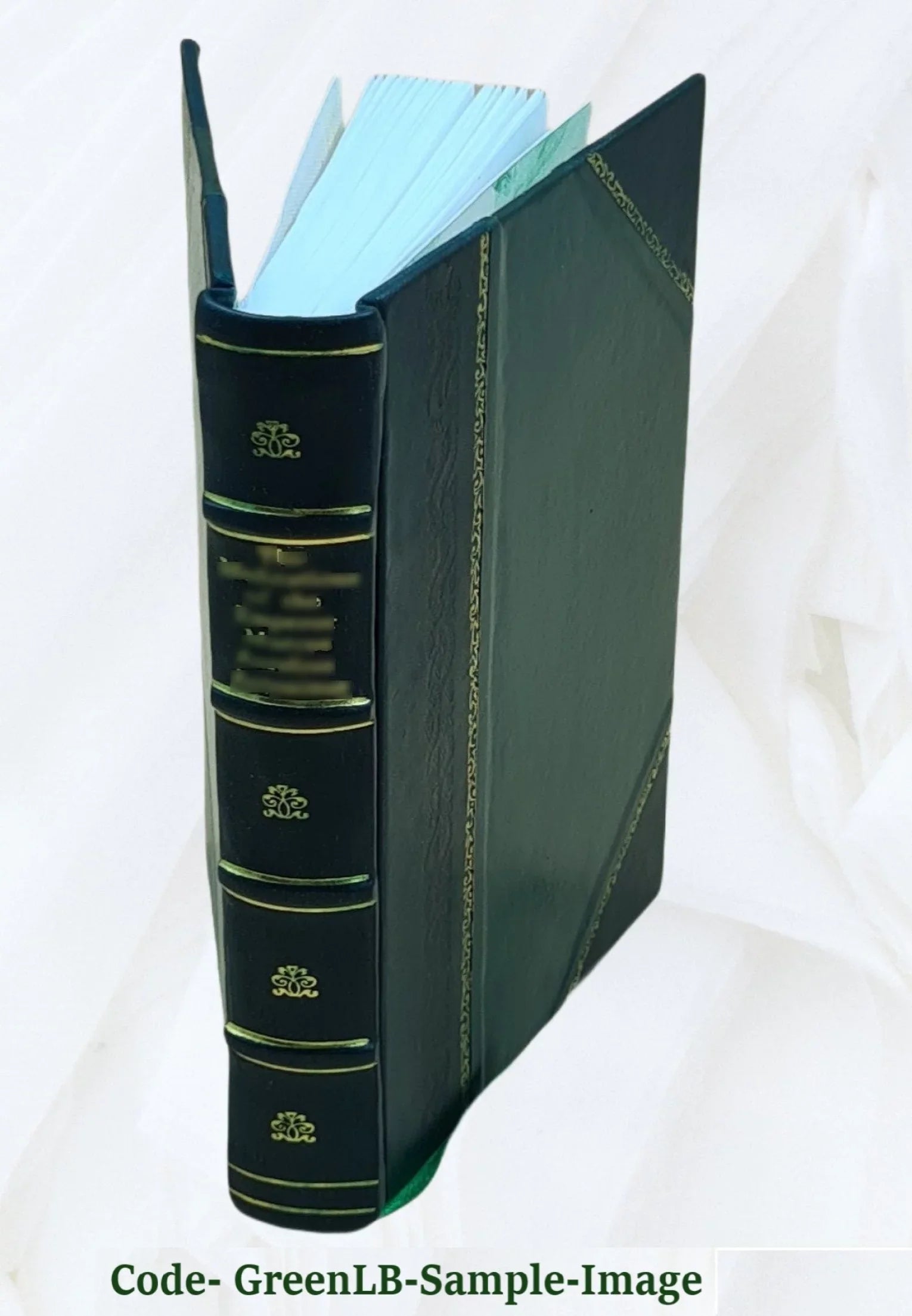 digest of the reported decisions in the Supreme Court of New Brunswick : from Hilary term, 42 Victoria 1879 to Eastern term, 49 Victoria 1886 : with digest of cases in Canada Sup