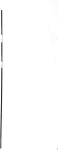 Lower Backing Sheet Layering 001653- Works  Vision Fitness Treadmill