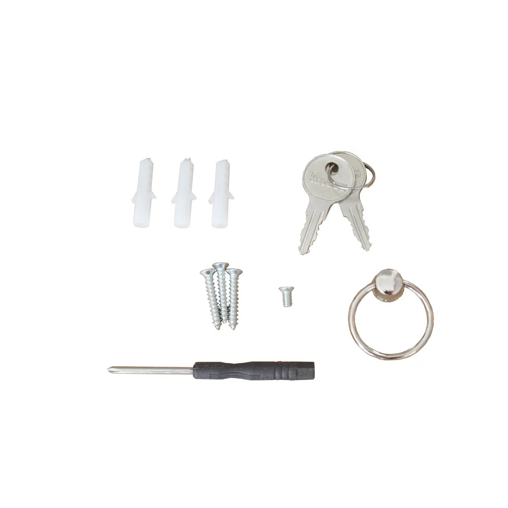 200 Hooks Wall Mount Lock Box Cabinet Storage Key Cabinet Key Organizer with Key Cards