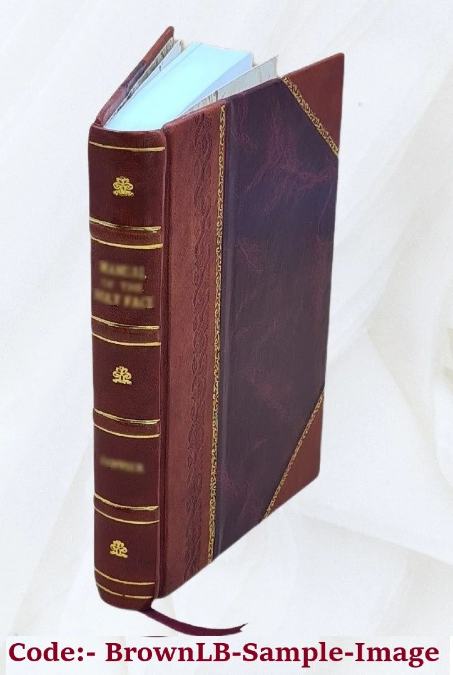 Switzerland as described by superb writers, collected and ed. by Esther Singleton; with numerous illustrations. 1908 [Leather Bound]