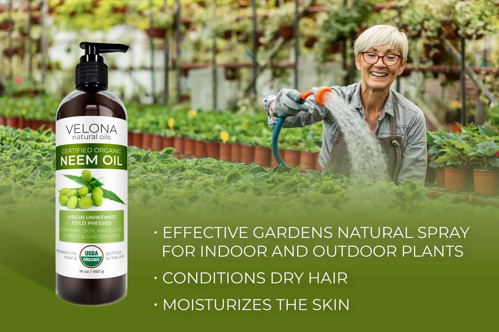 Velona Neem Oil  Certified Organic - 32 oz | 100% Pure and Natural Carrier Oil | Virgin, Unrefined, Cold Pressed | Hair, Body and Skin Care | Use Today - Enjoy Results