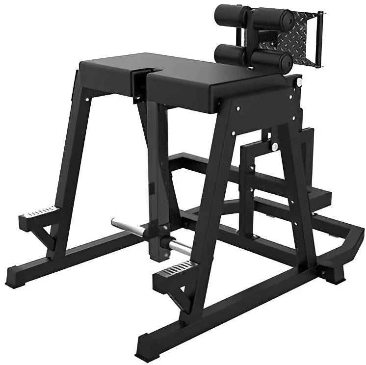 French Fitness  Reverse Hyperextension Donkey Kick (New)