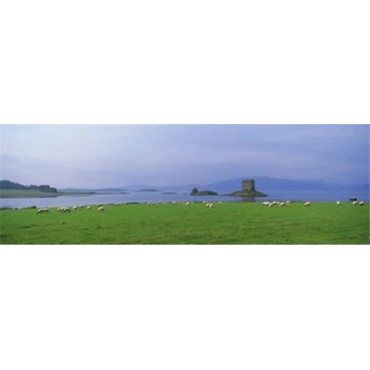 Castle on an island  Glencoe  Loch Linnh  Stalker Castle  Scotland Poster Print by  - 36 x 12