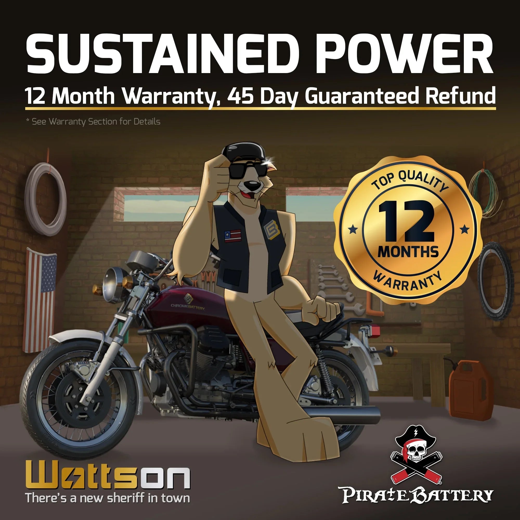 Pirate Battery - (16L- 12 Volt,14 Ah, 230 ) Jet Ski Battery for Kawasaki 300cc Js300 Ts Sx 1991