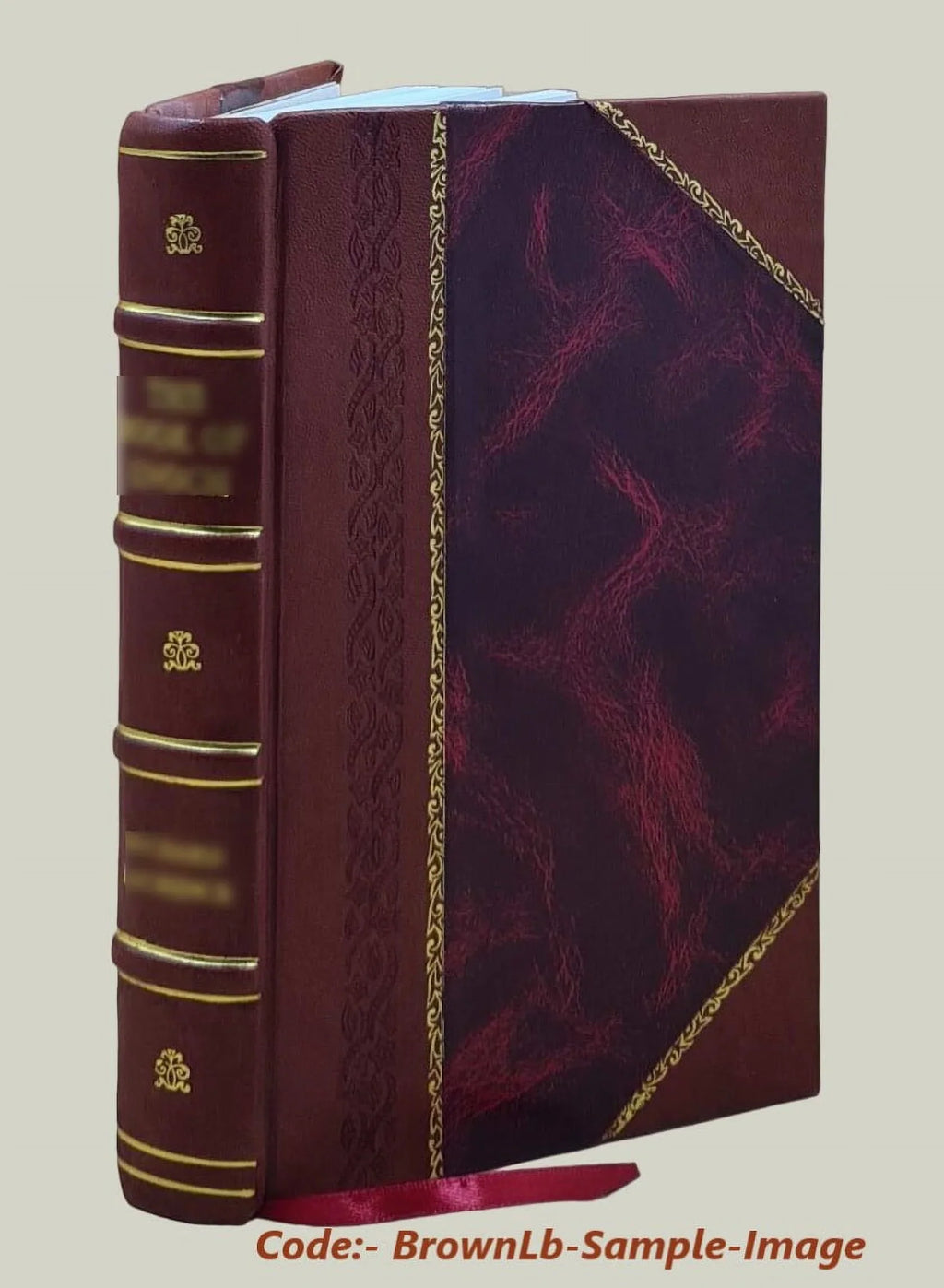 Jan of the windmill : a story of the plains / by Juliana Horatia Ewing. 1899 [Leather Bound]