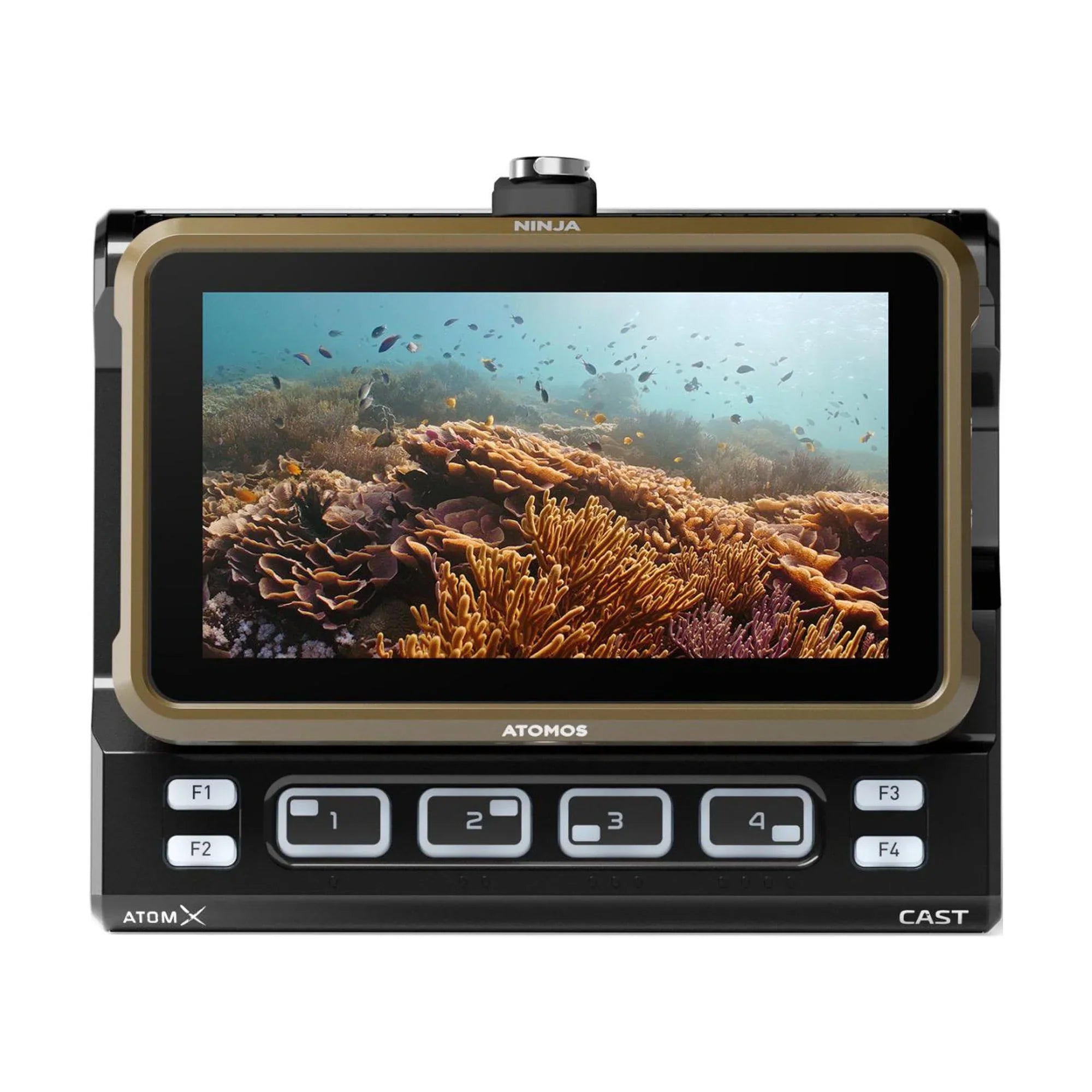 Atomos Ninja 5.2 4K  Recording Monitor