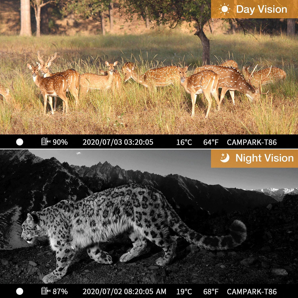 WiFi Bluetooth Trail Camera 20MP 1296P Game Hunting Camera with Nigth Vision Waterproof