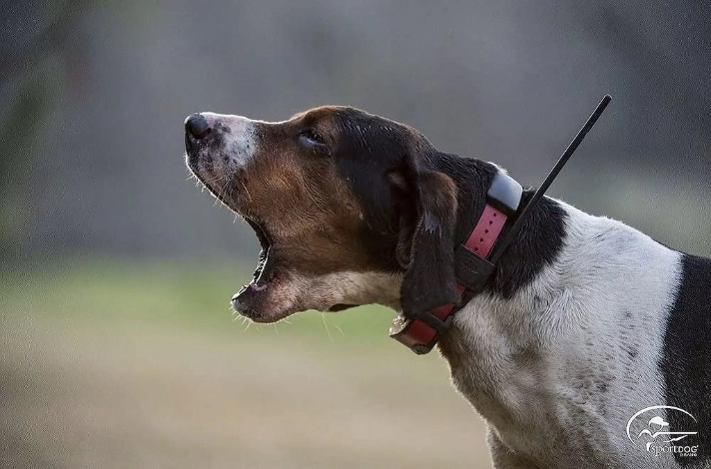 SportDOG Brand®  Series 2.0  + -Collar