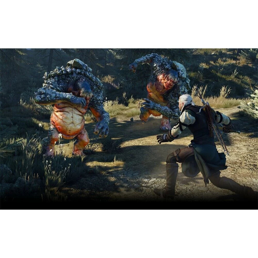 The Witcher 3: Wild Hunt Complete Edition - PlayStation 4, PlayStation 5
