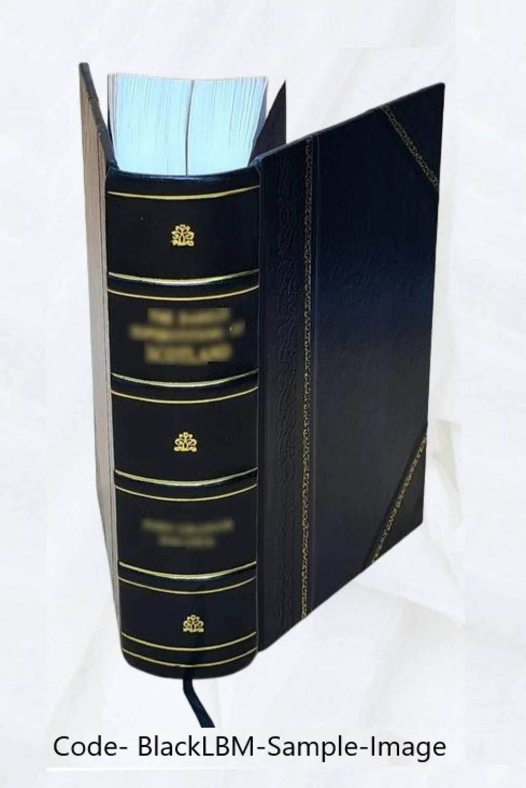 Elements of moral philosophy and of Christian ethics / by Daniel Dewar. Volume v. 2 1826 [Leather Bound]