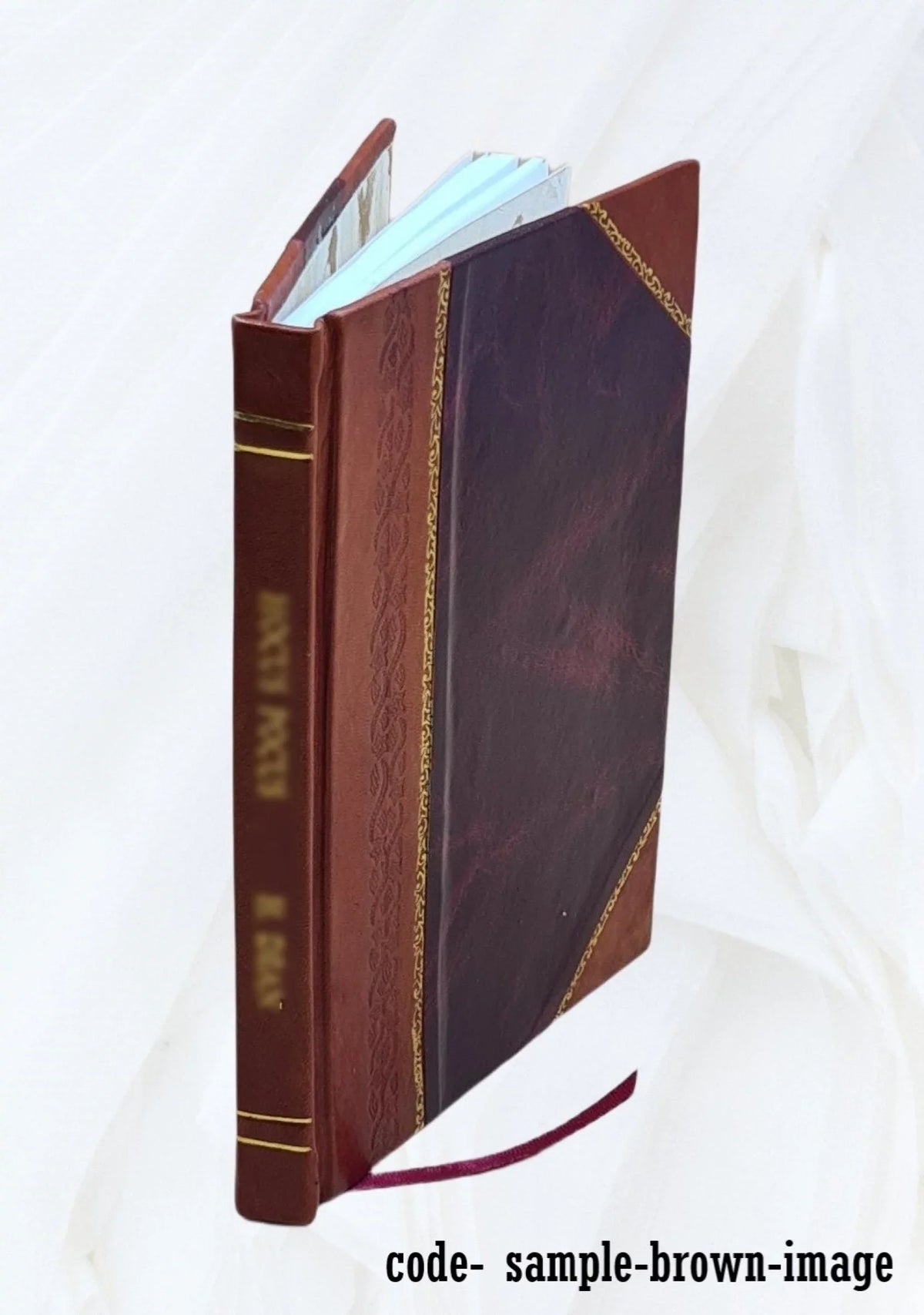 .-. Flavigny, évêque constitutionnel de la Haute-Saône : sa correspondance avec Grégoire & Dom Grappin, 1795-1802 ([Reprod.]) / [éd. par] par Georges Gazier,... 1907 [Leather Bou