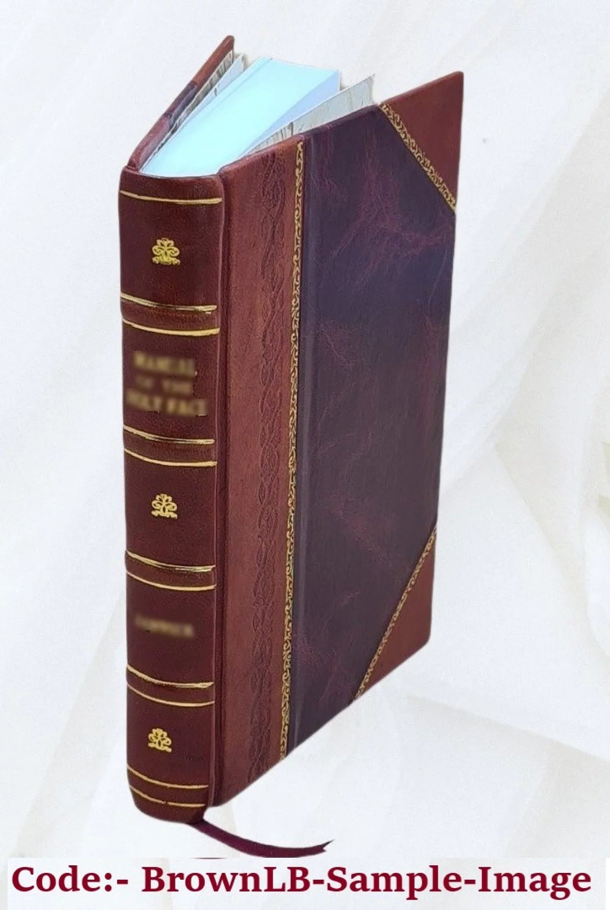 Brachiopoda and Lamellibranchiata of the Raritan Clays and Greensand Marls ... 1885 [Leather Bound]